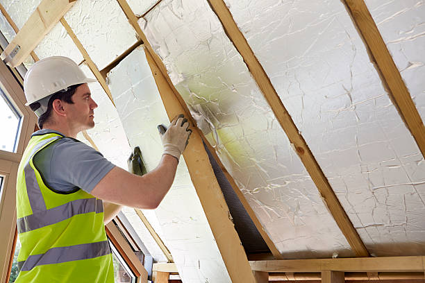 Best Specialized Insulation Services in Kirbyville, TX