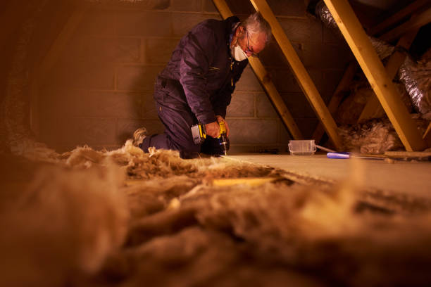 Best Geographic-Specific Insulation Services in Kirbyville, TX