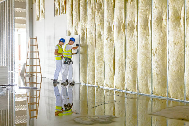 Best Commercial Insulation in Kirbyville, TX